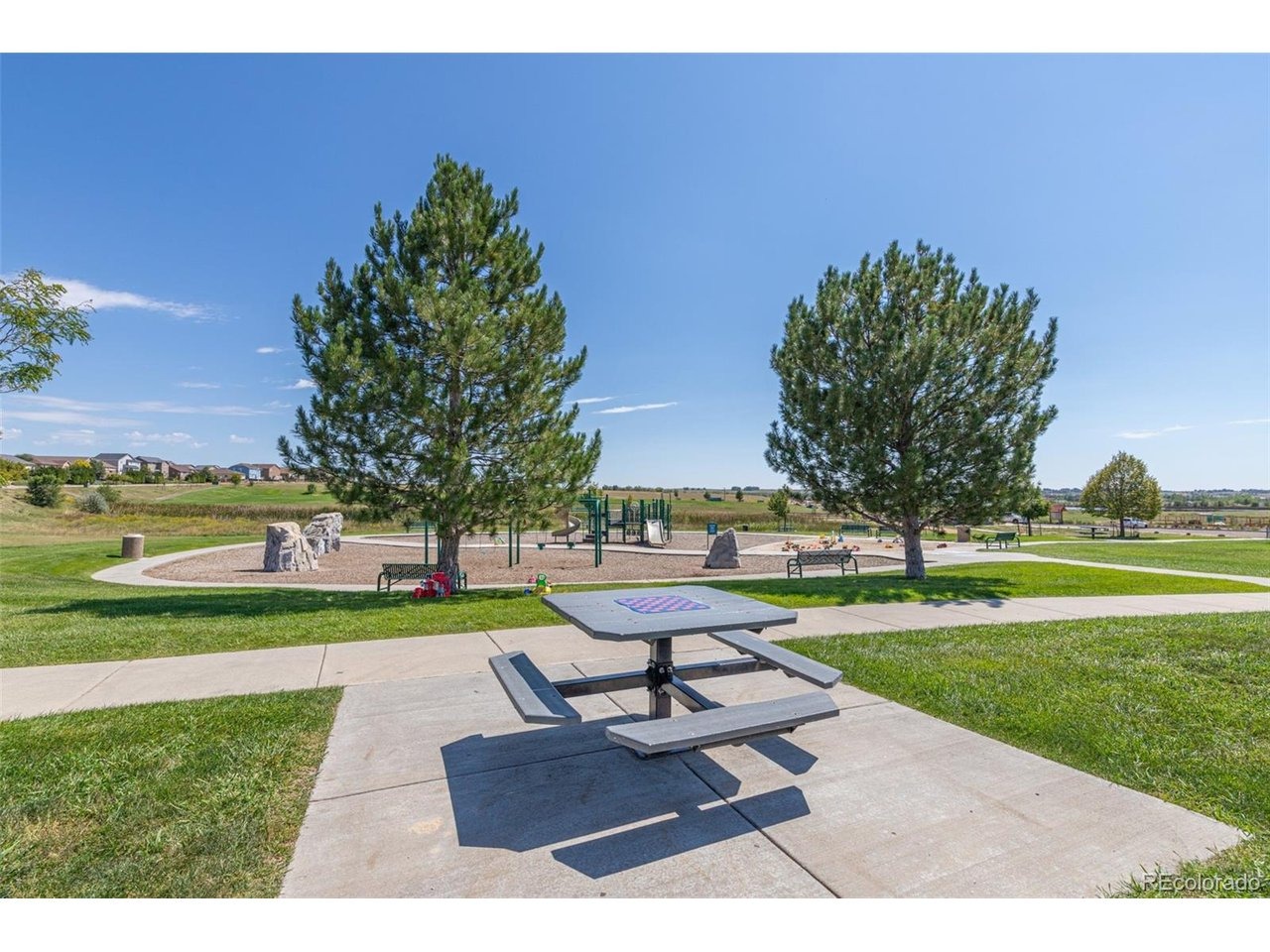 Sandy Springs Pt, Fountain, CO 80817 #1