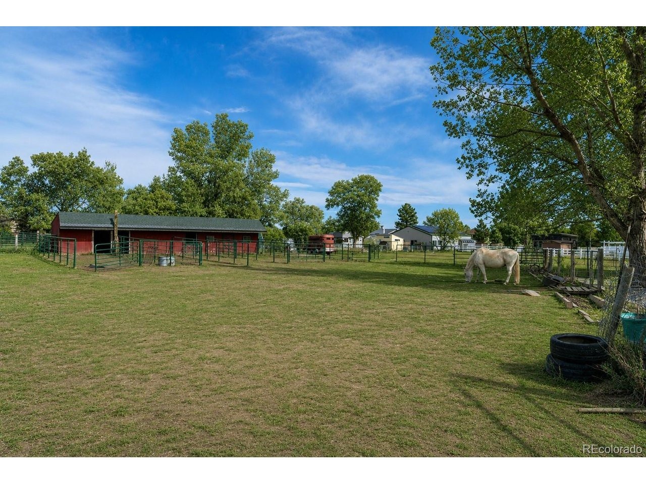 Laodicea Rd, Longmont, CO 80503 #1