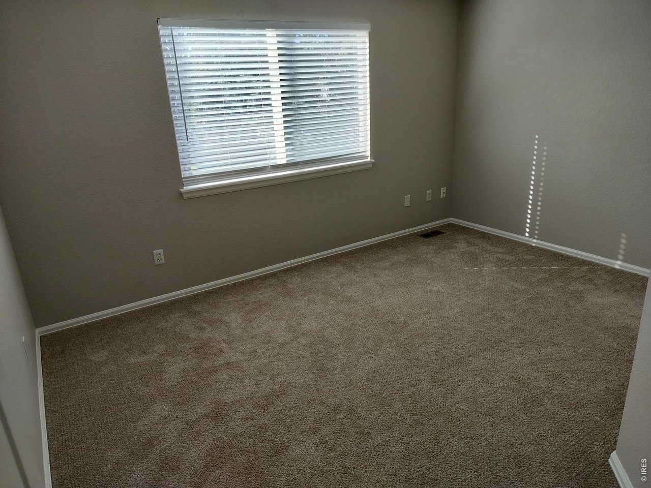 Prichett Ct, Fort Collins, CO 80525 #1