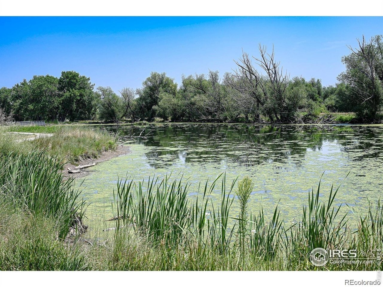 Cornell Ave, Lakewood, CO 80227 #1