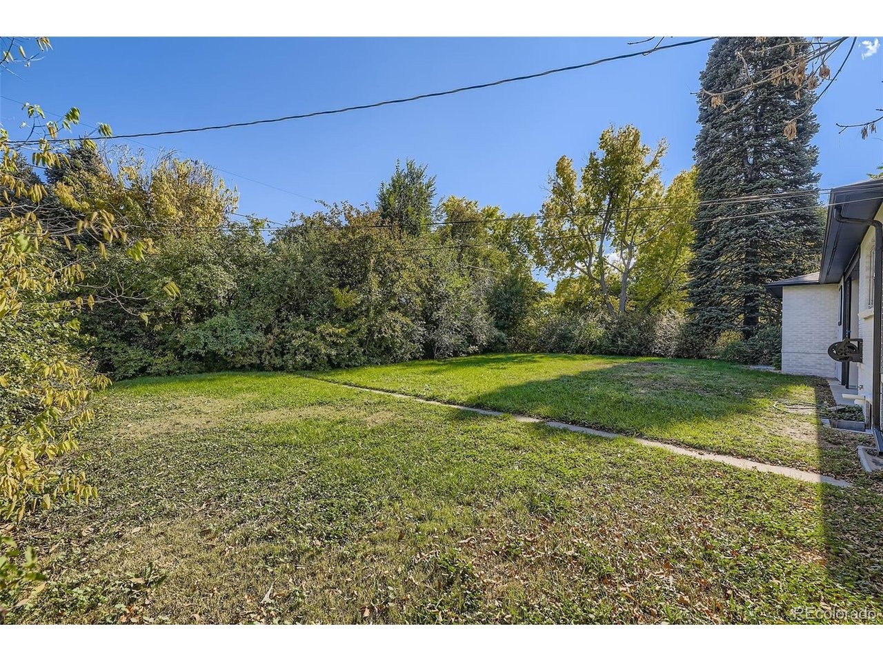 Allison St, Lakewood, CO 80226 #1