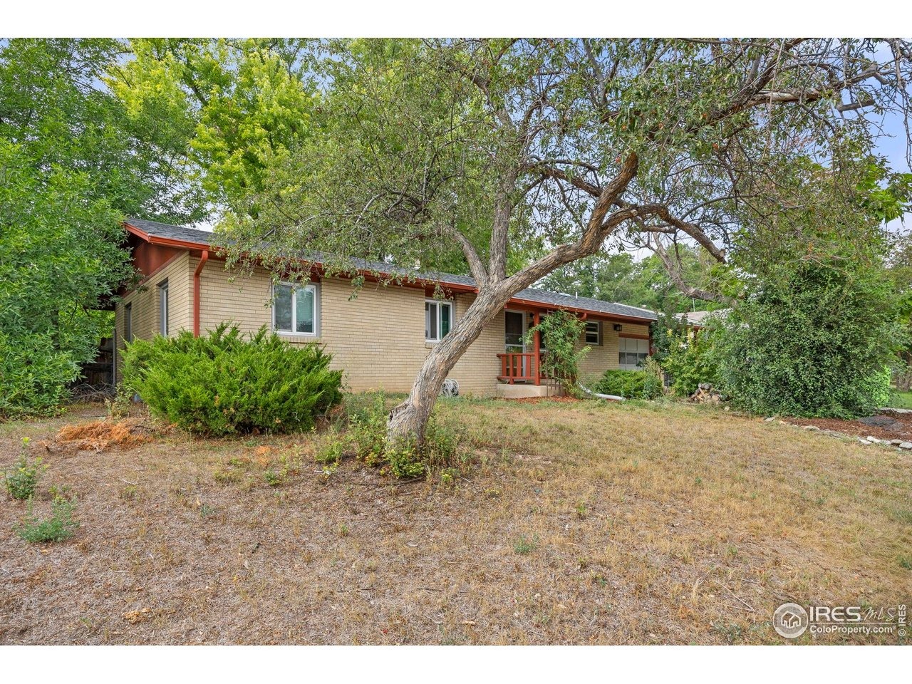 Montview Rd, Fort Collins, CO 80521 #1