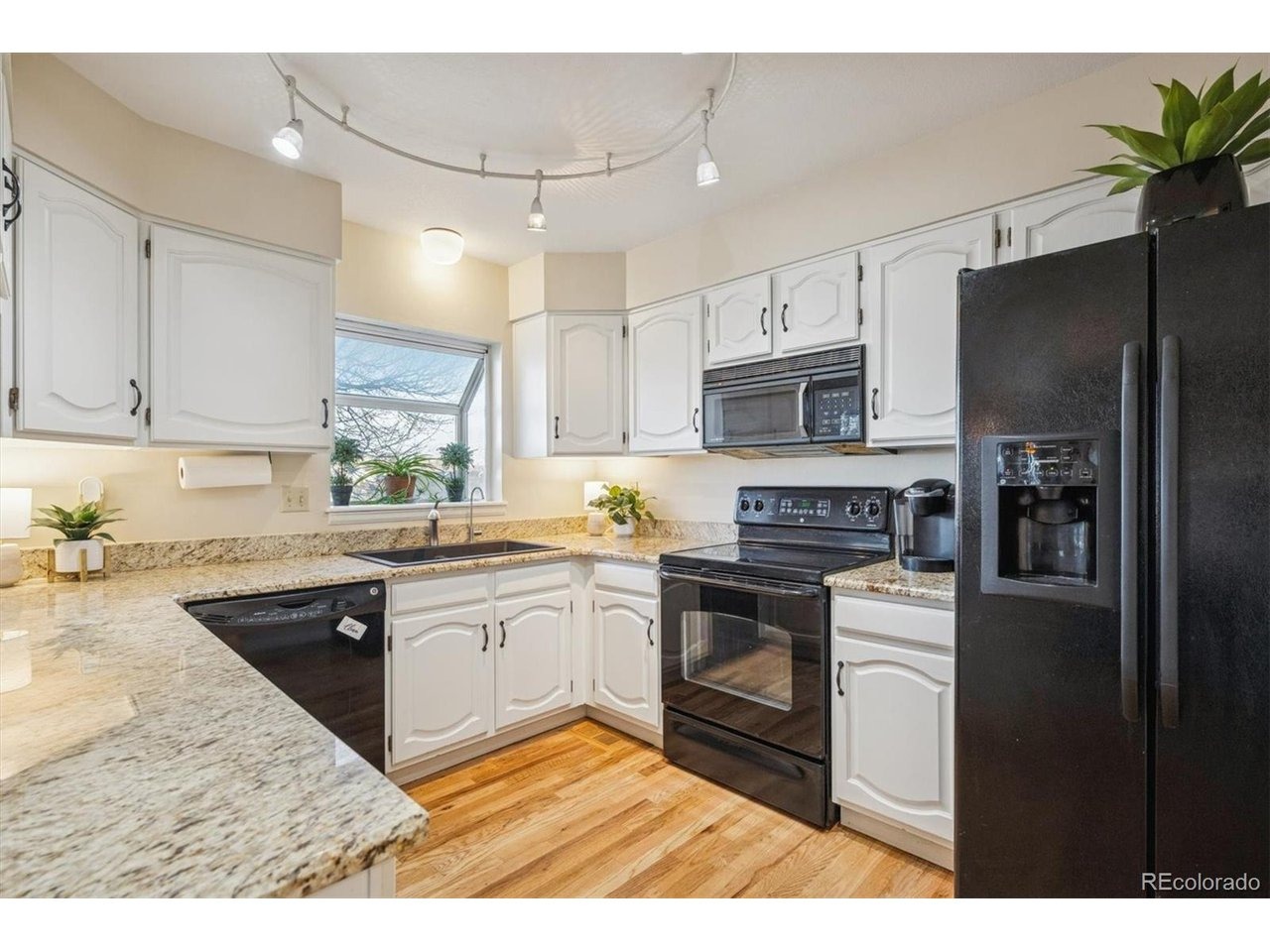 Halleys Dr, Littleton, CO 80125 #1