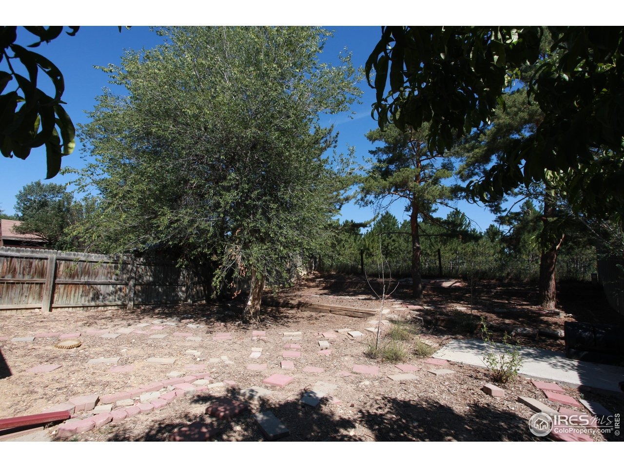 Olive St, Fort Collins, CO 80521