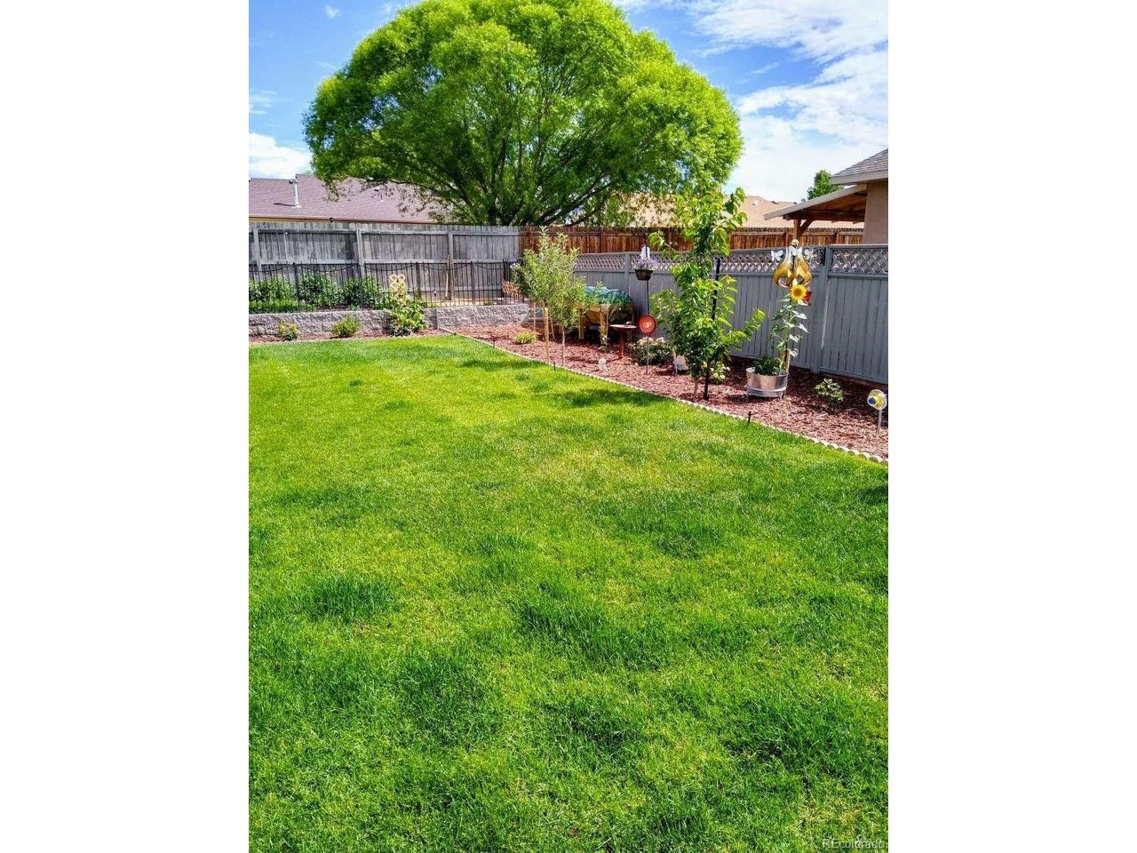 Criterion St, Delta, CO 81416 #1