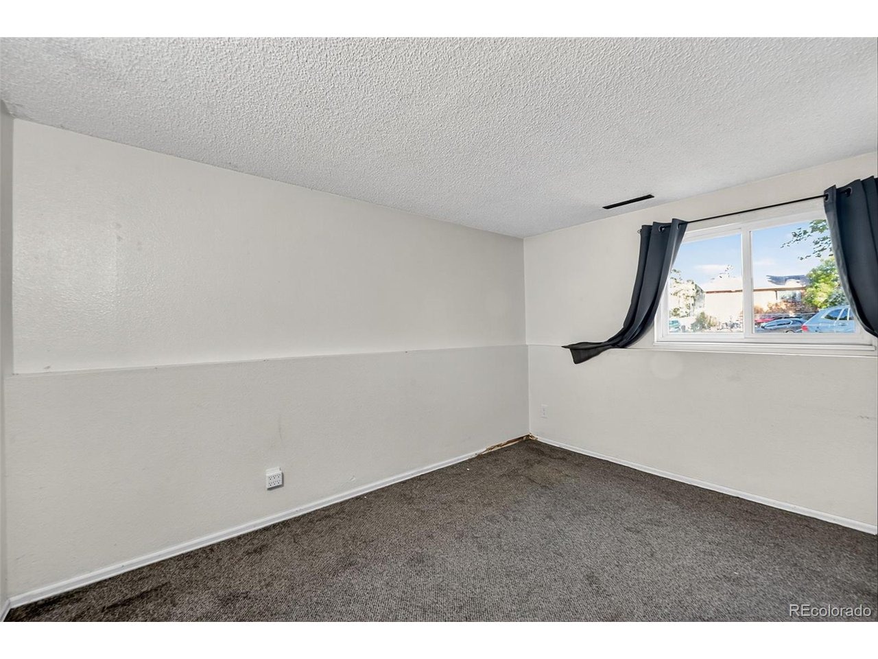Neat Pl, Colorado Springs, CO 80917 #1