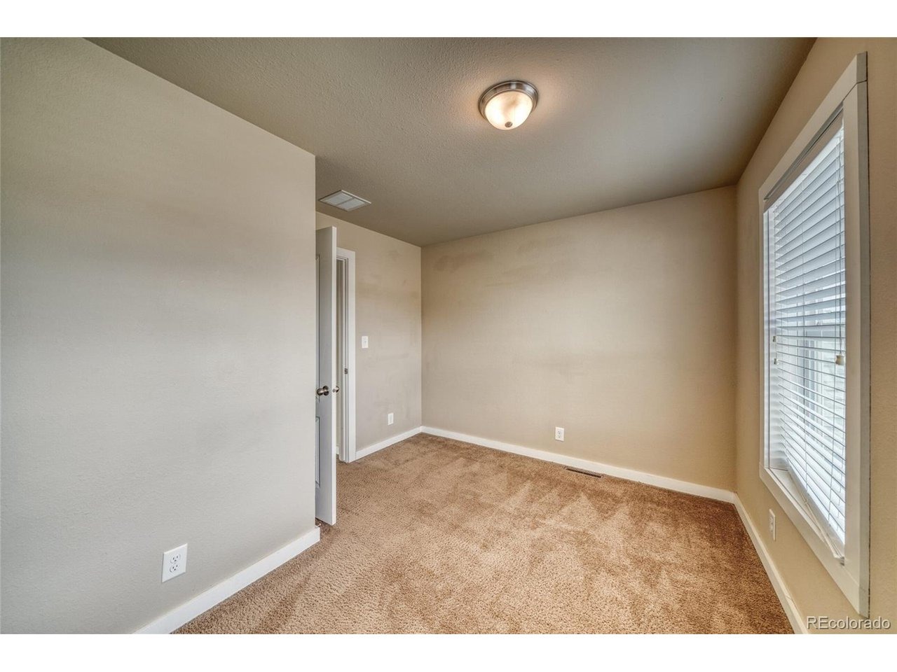 Chestnut St, Leadville, CO 80461 #1