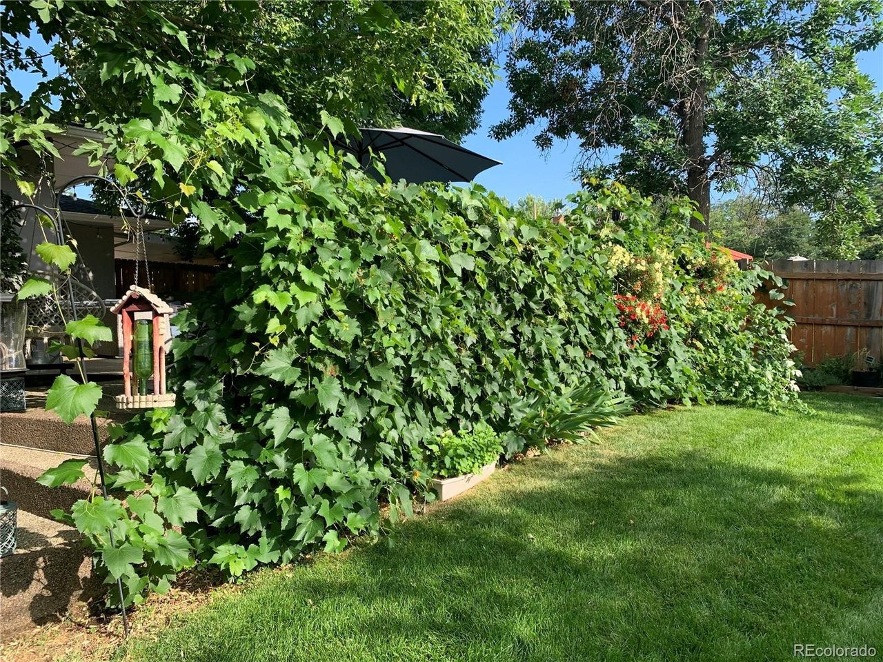 Elati St, Littleton, CO 80120 #1
