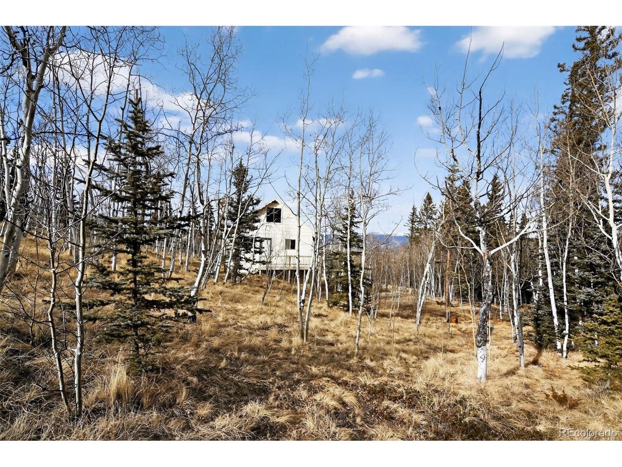 Outlaw Ct, Jefferson, CO 80456 #1