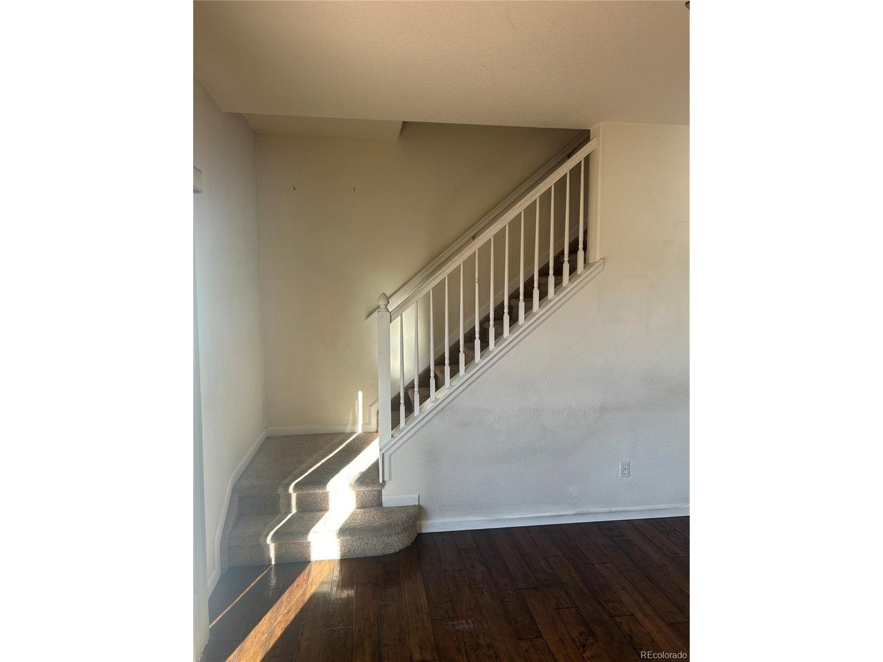 Willow Oak Rd, Castle Rock, CO 80104 #1