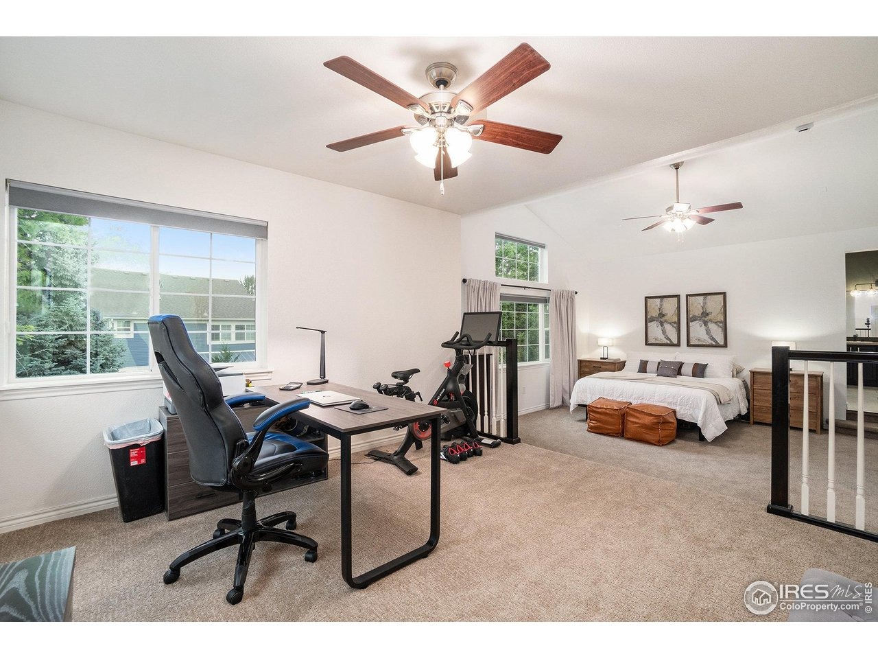Wood Duck Ct, Windsor, CO 80550 #1
