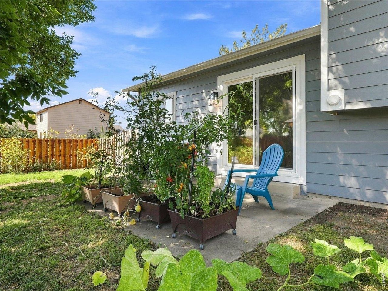 White Ash Ct, Loveland, CO 80538