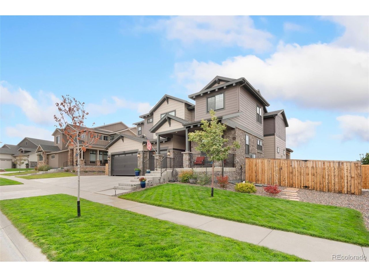 Rose Mallow Ave, Parker, CO 80134 #1