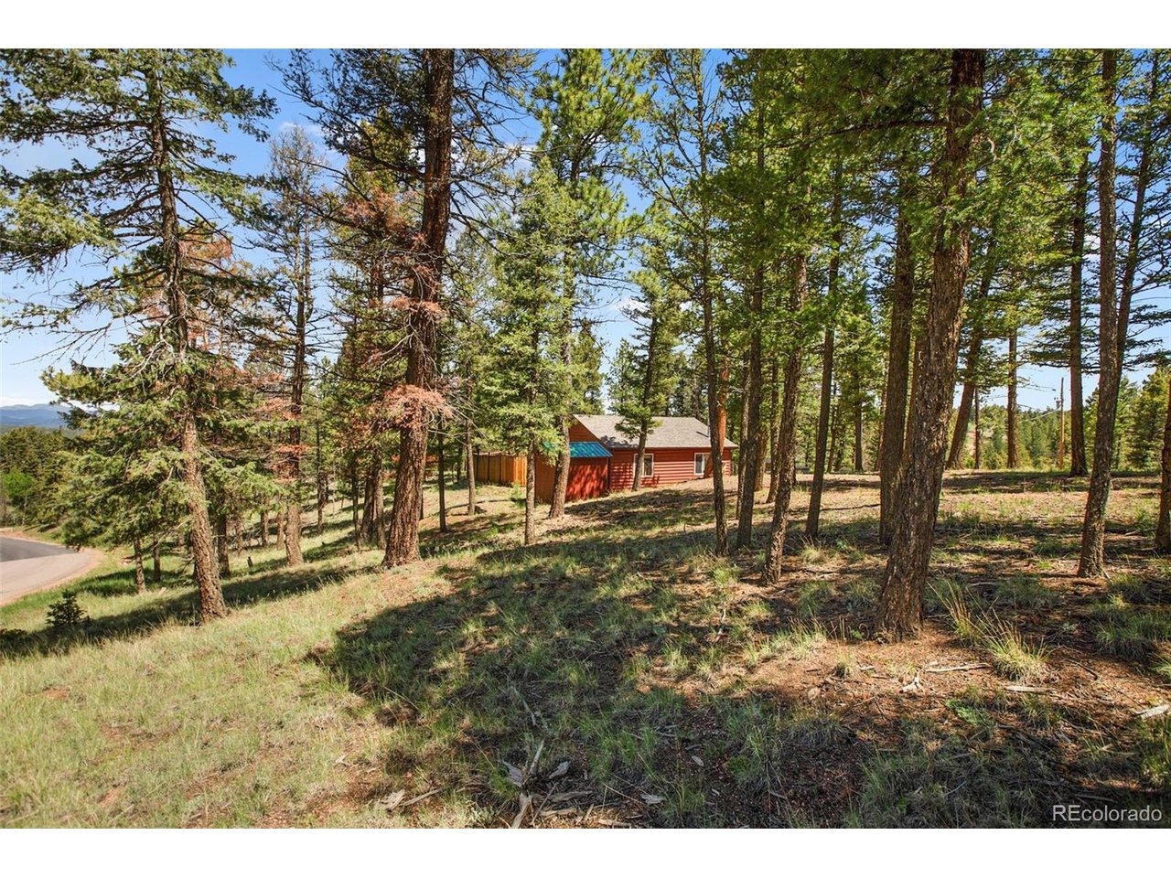 Handcart Cir, Florissant, CO 80816 #1