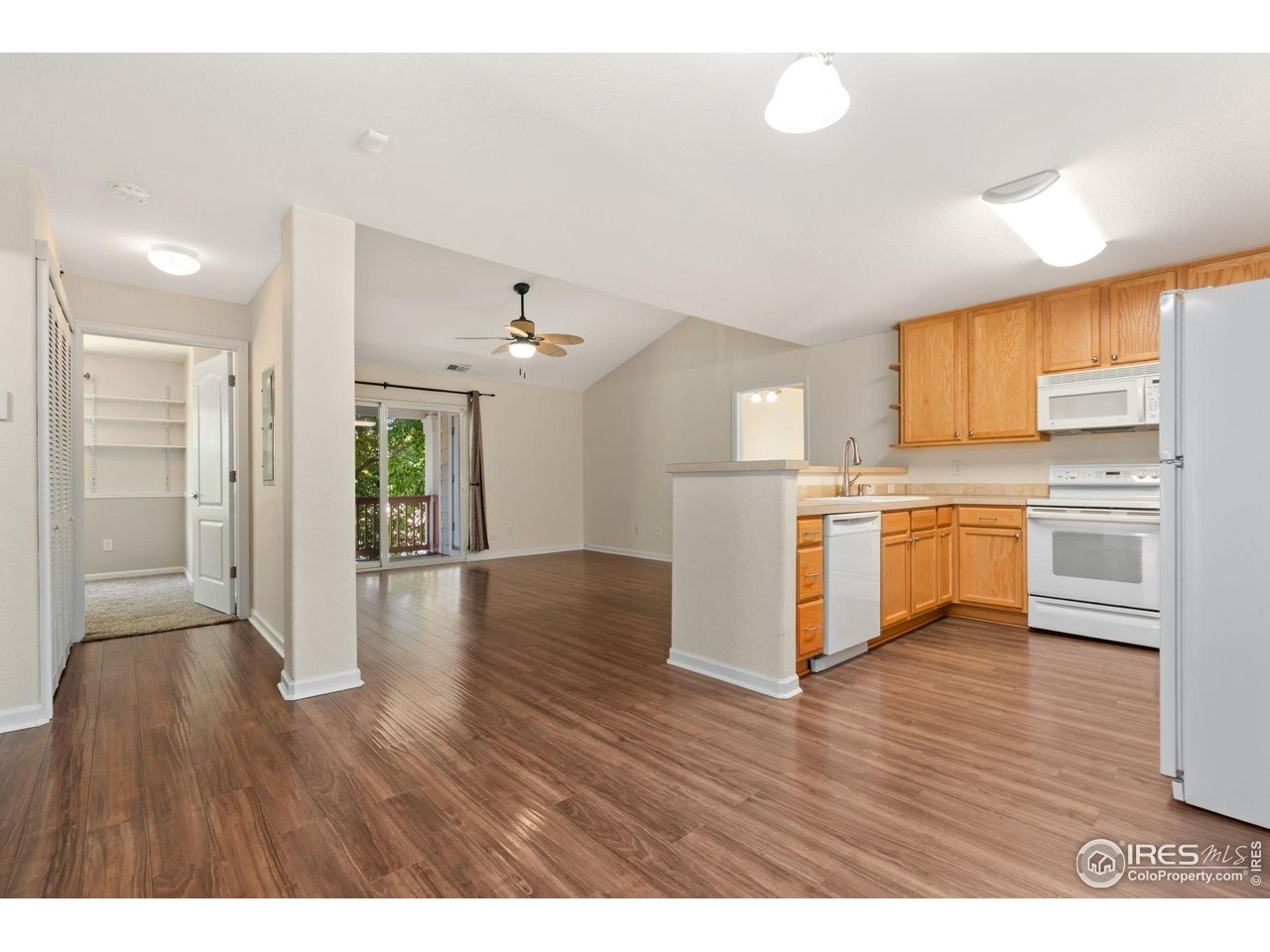 Hahns Peak Dr, Loveland, CO 80538 #1