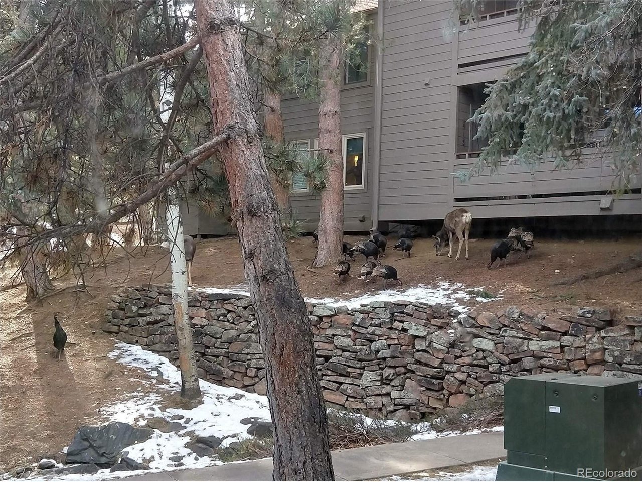 Pondview Pl, Golden, CO 80401