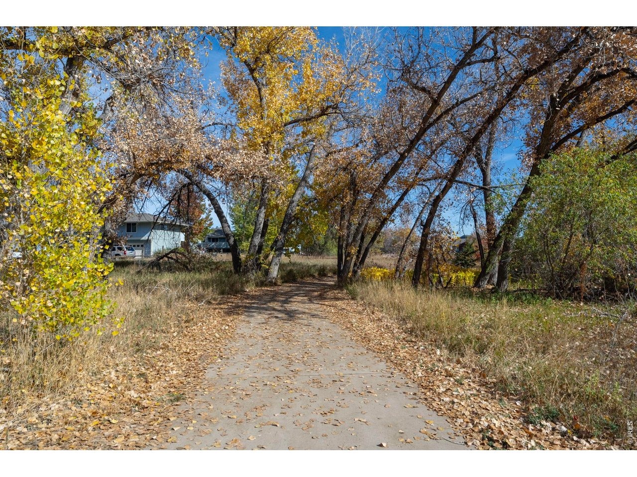Elysian Field Dr, Lafayette, CO 80026 #1