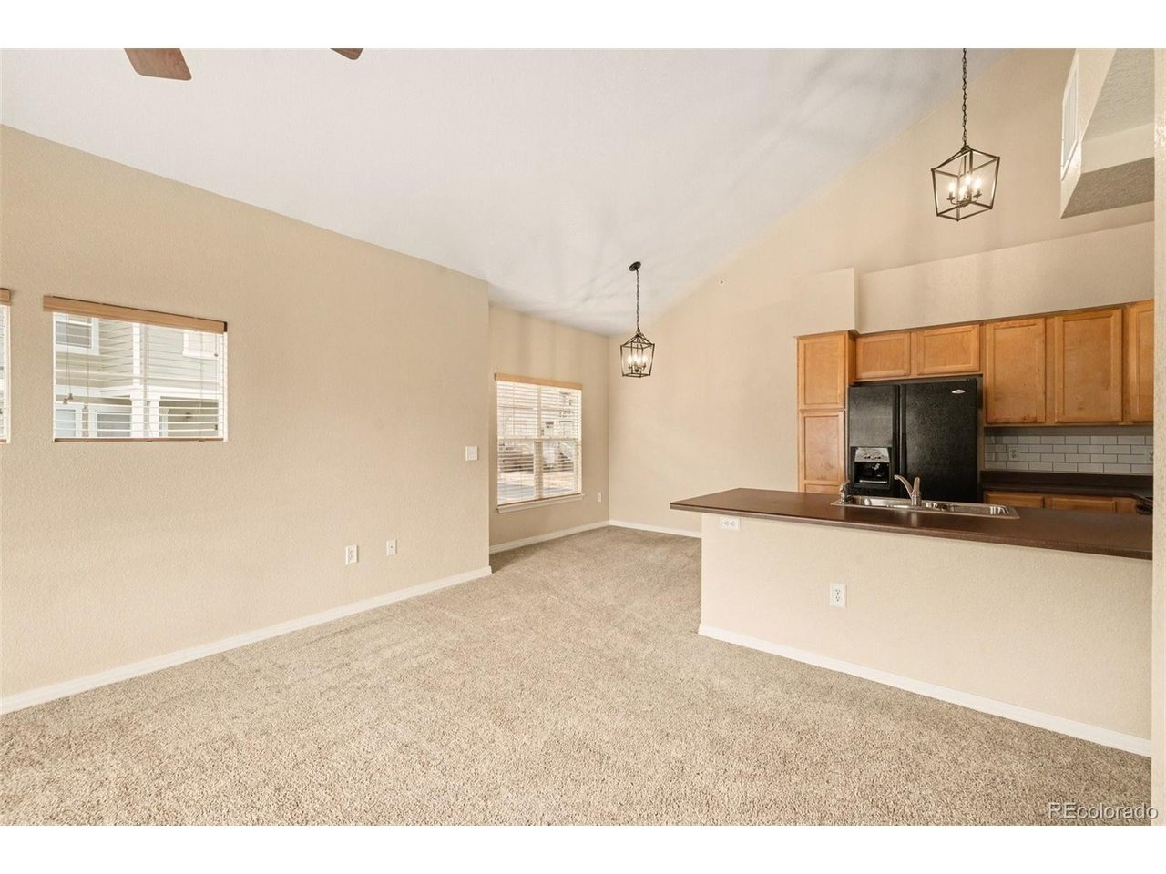 Ashbury Cir, Parker, CO 80134 #1