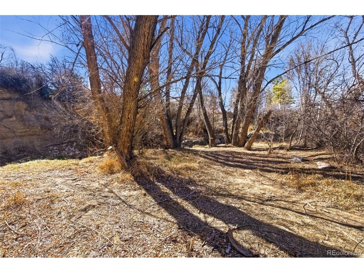 Rafferty Gardens Ave, Littleton, CO 80120
