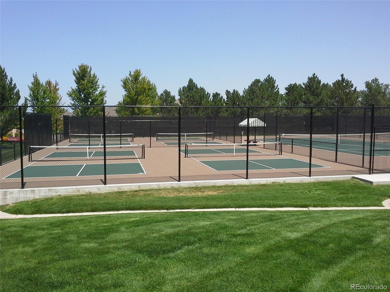 Gold Peak Dr, Highlands Ranch, CO 80130 #1