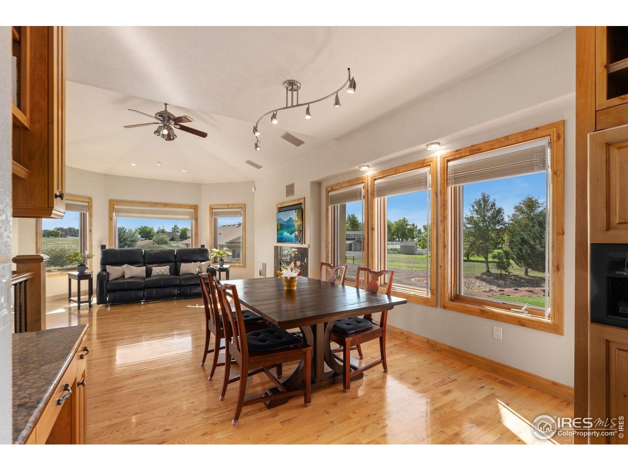 Longs Peak Ct, Severance, CO 80610 #1