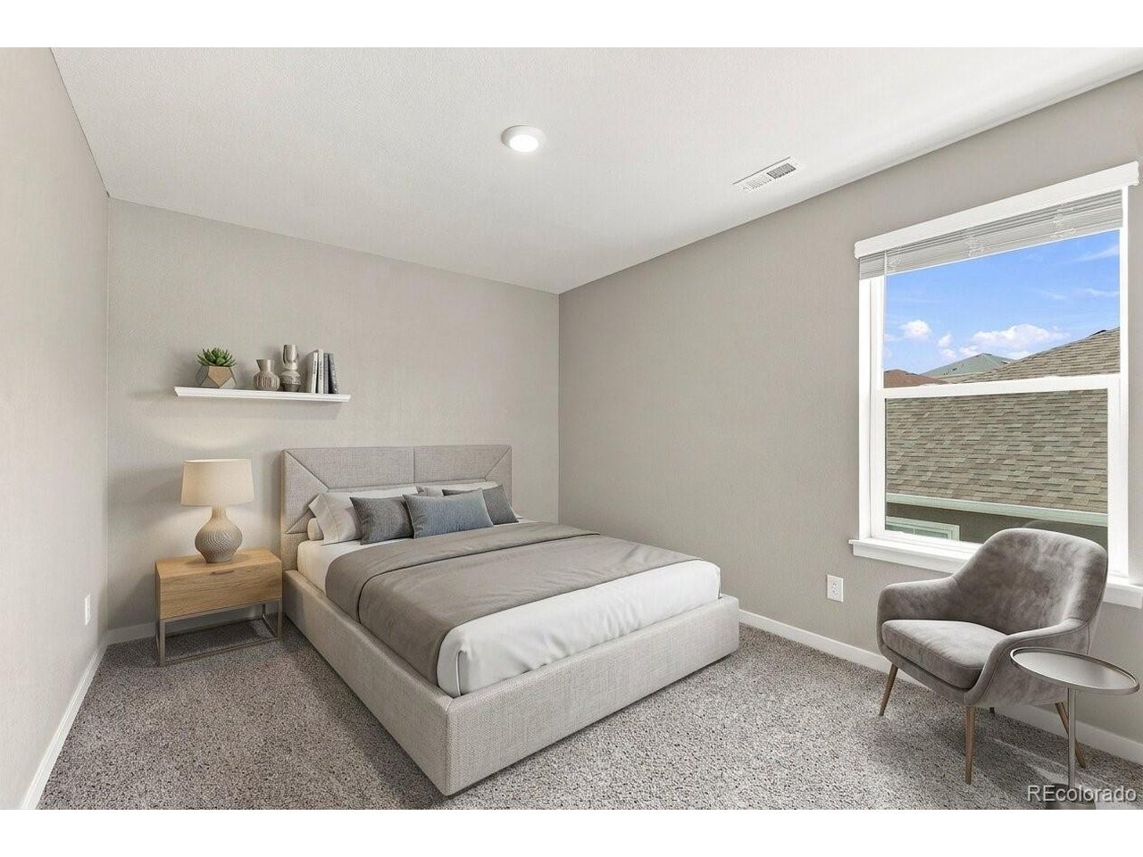 Fiadore Ln, Castle Rock, CO 80104 #1
