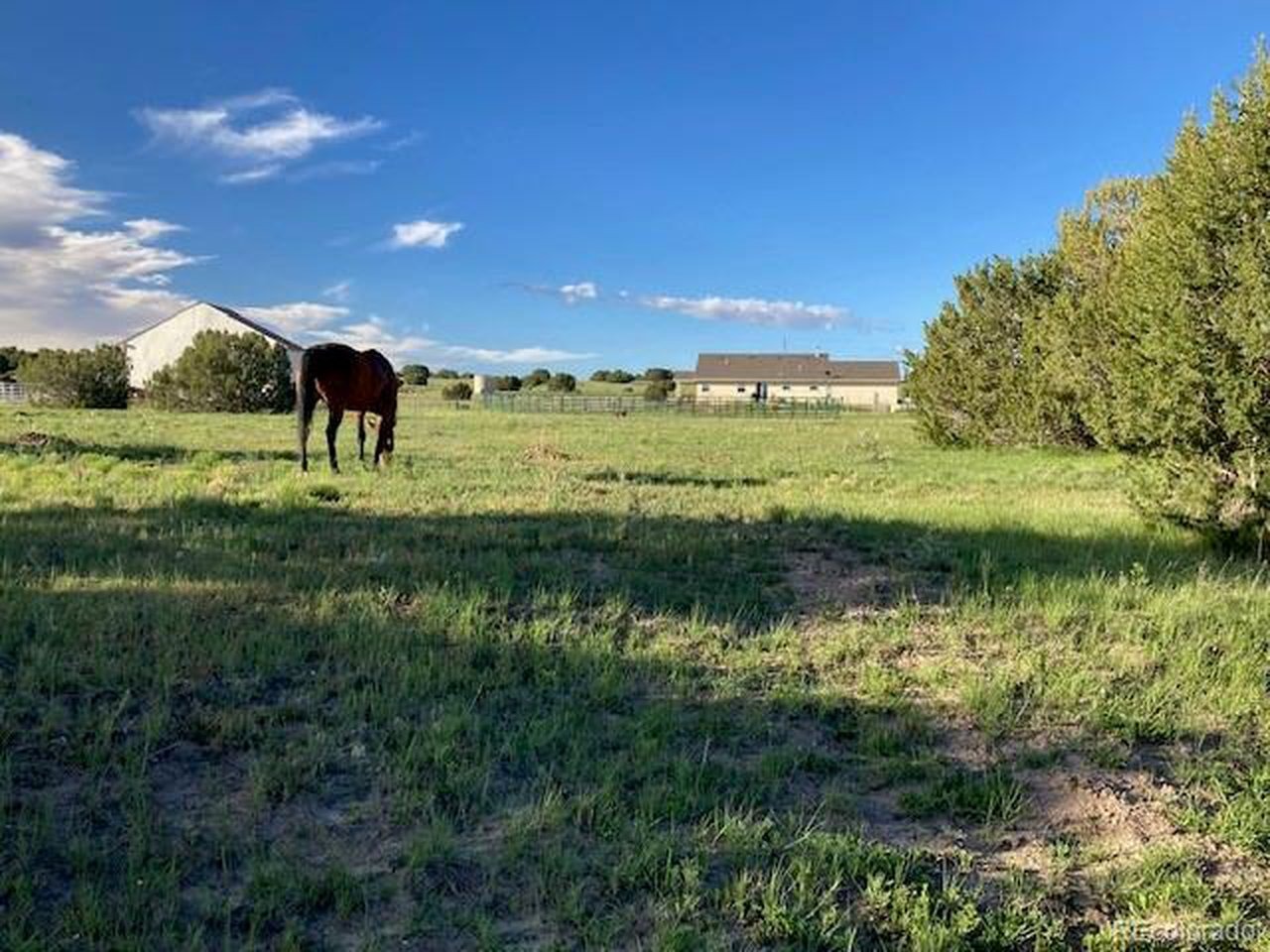 Sunflower Ln, Pueblo, CO 81004
