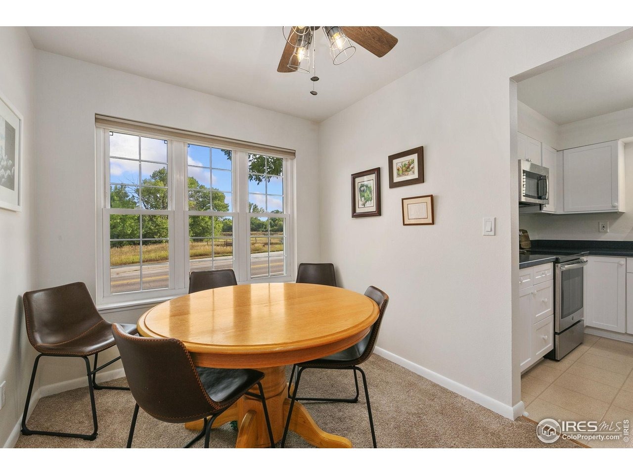 Stuart St, Fort Collins, CO 80526