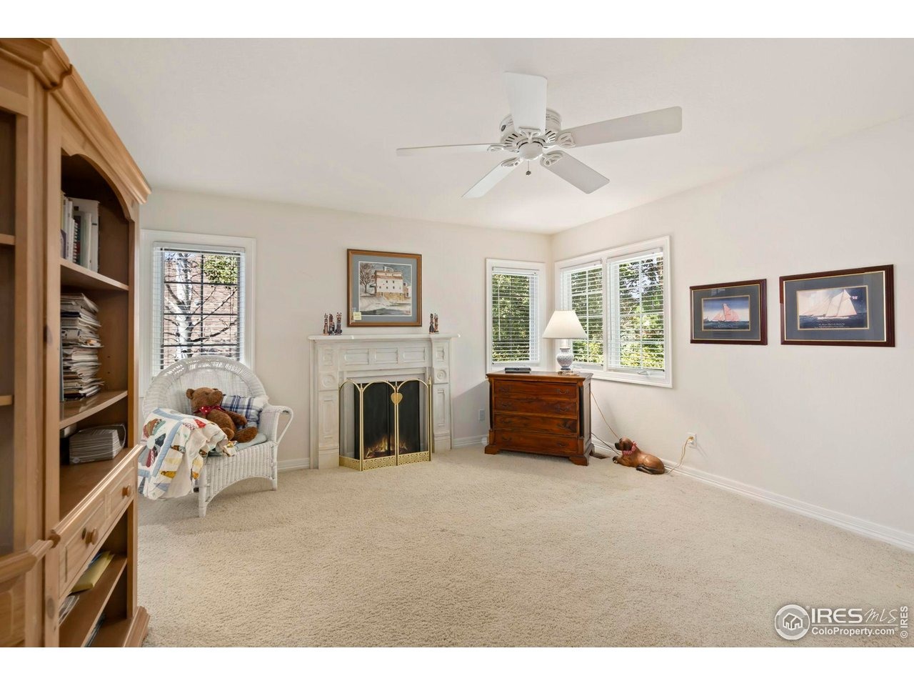 Hiwan Ct, Fort Collins, CO 80525 #1