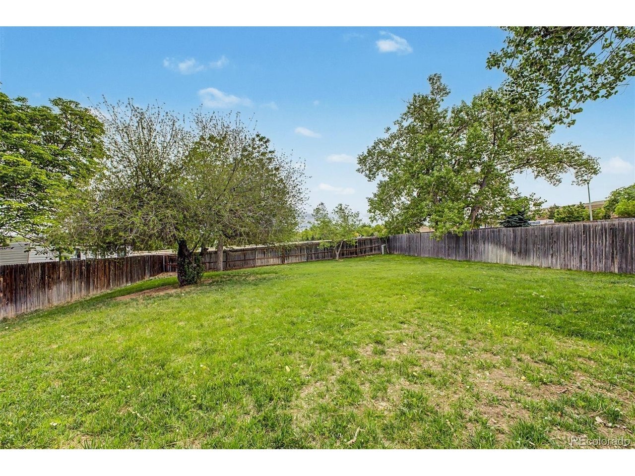 Cody Way, Littleton, CO 80128 #1