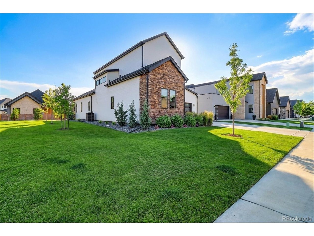 Barefoot Dr, Windsor, CO 80550 #1