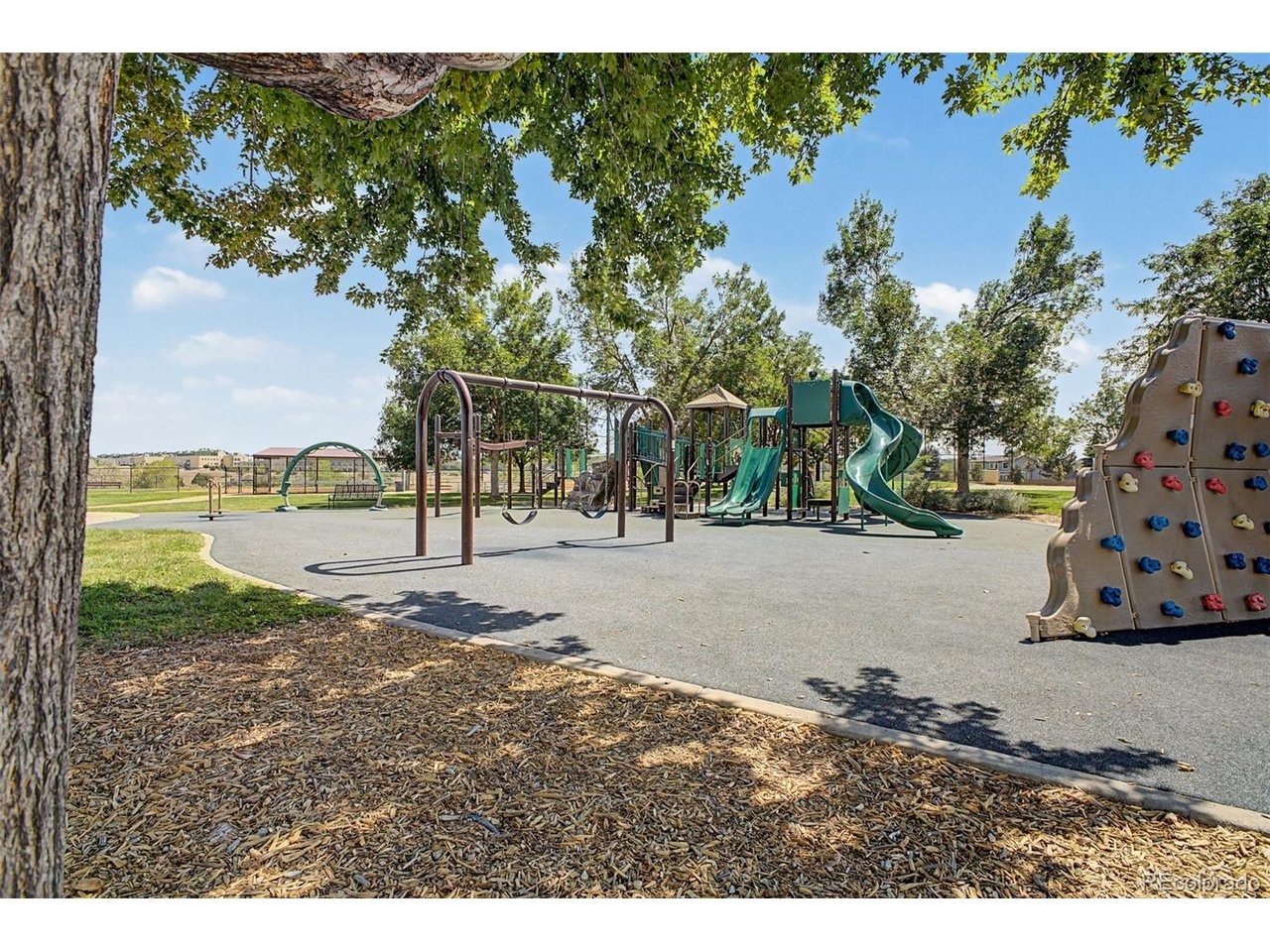 Zenobia Loop, Westminster, CO 80031 #1