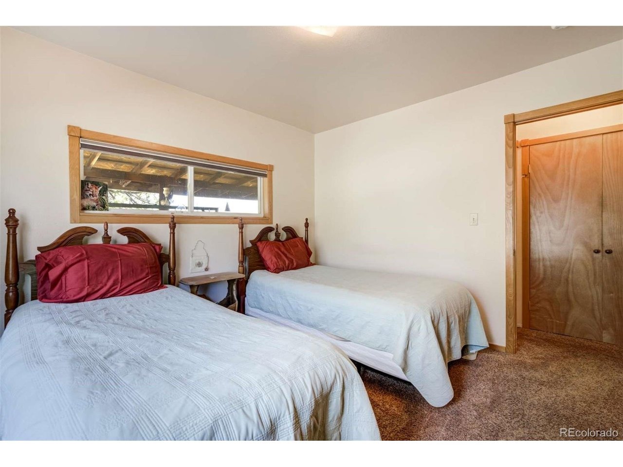 Homestake Pl, Florissant, CO 80816 #1
