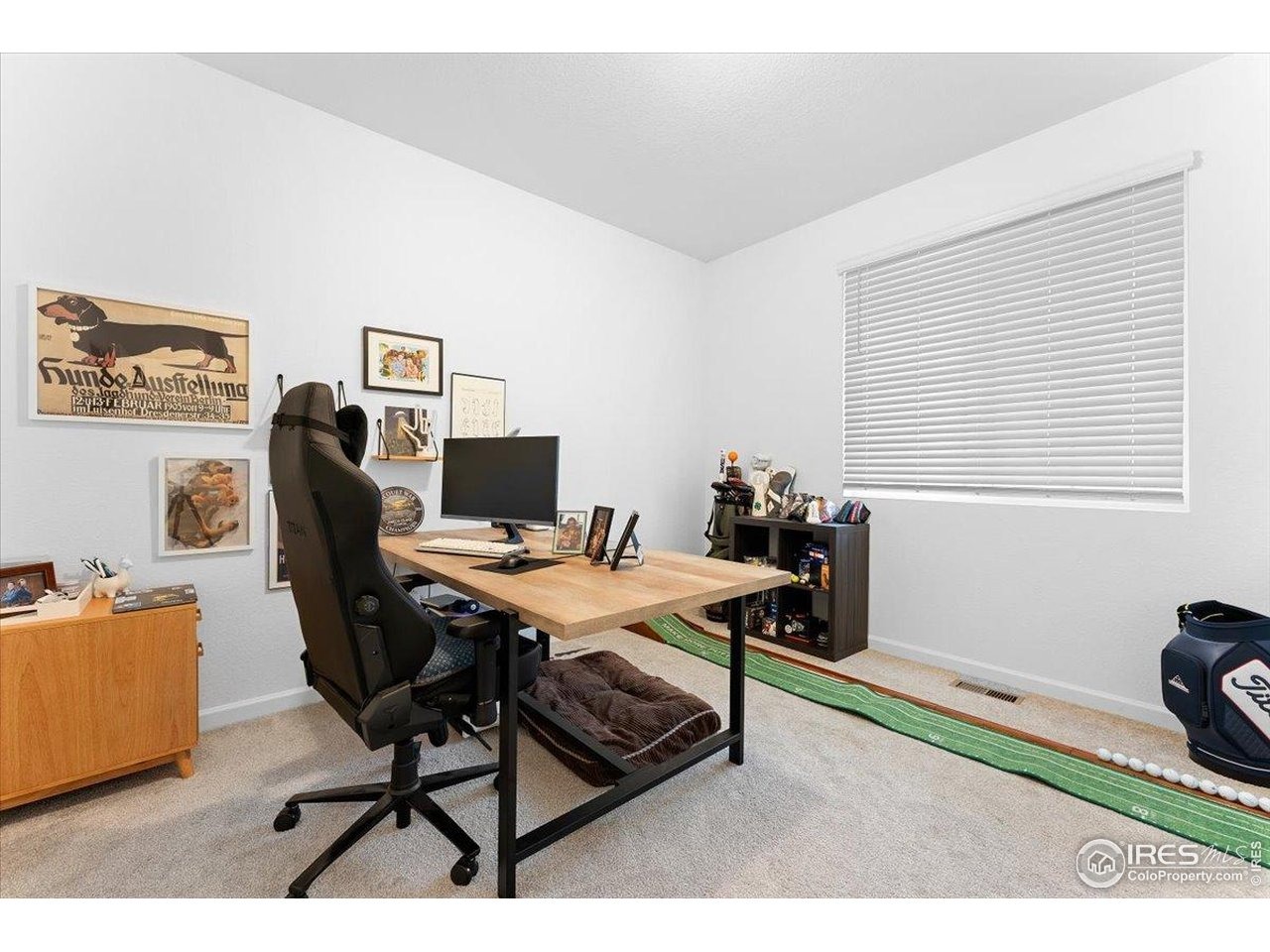 Cottongrass Ave, Loveland, CO 80538