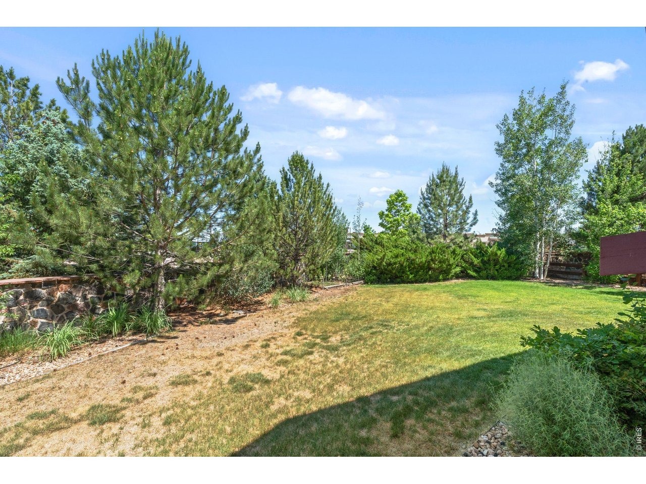 Kitty Hawk Ct, Windsor, CO 80550 #1