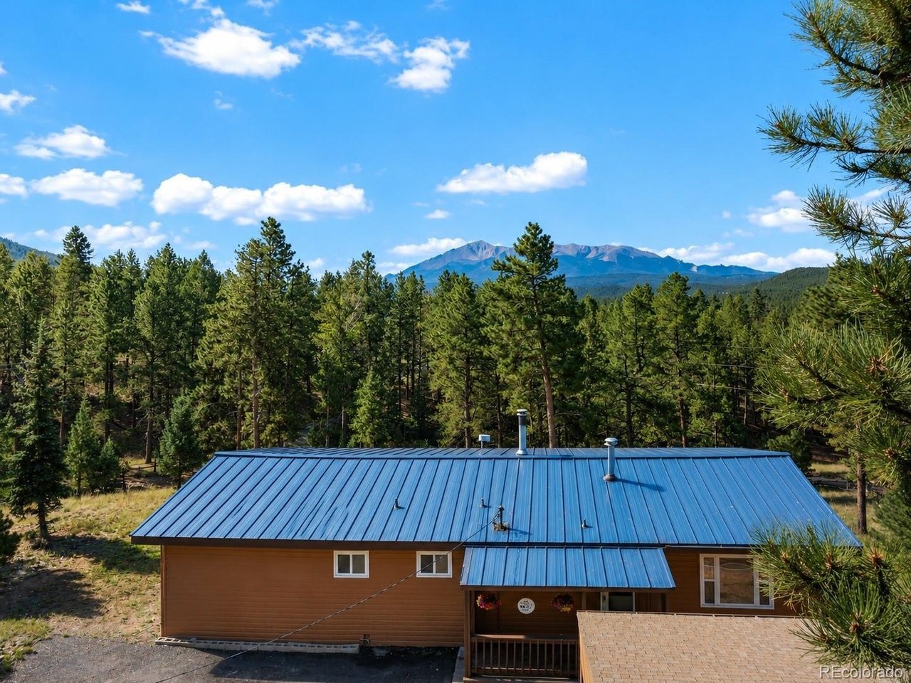 Ute Trl, Woodland Park, CO 80863 #1