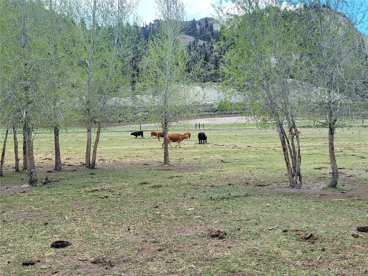 Violet Ln, Eagle, CO 81631 #1