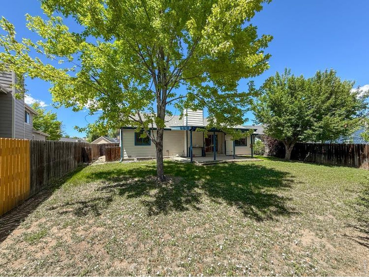 24th Ave, Longmont, CO 80501 #1
