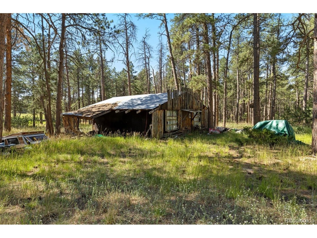 Shoup Rd, Colorado Springs, CO 80908 #1