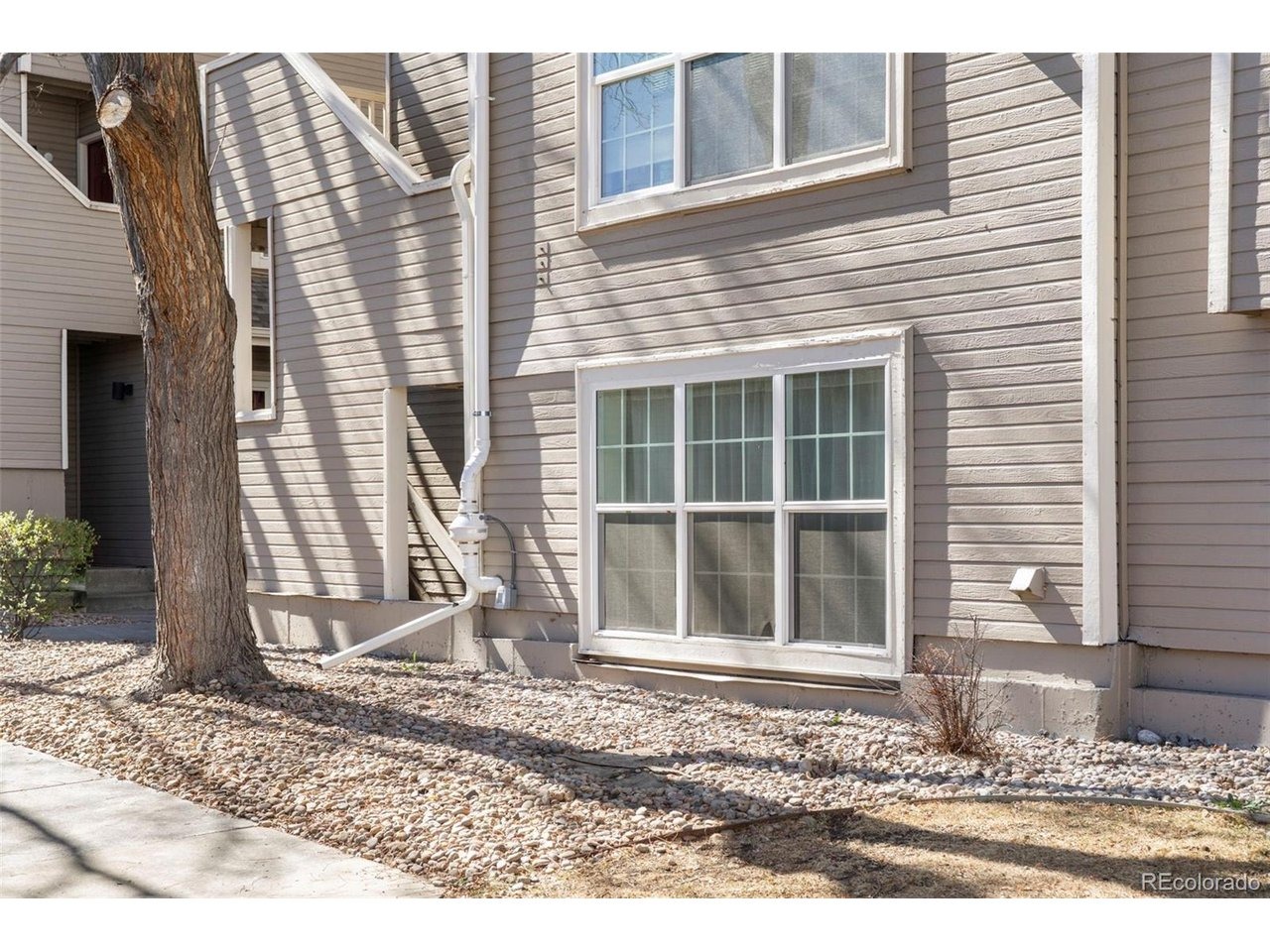 Asbury Pl, Lakewood, CO 80227 #1