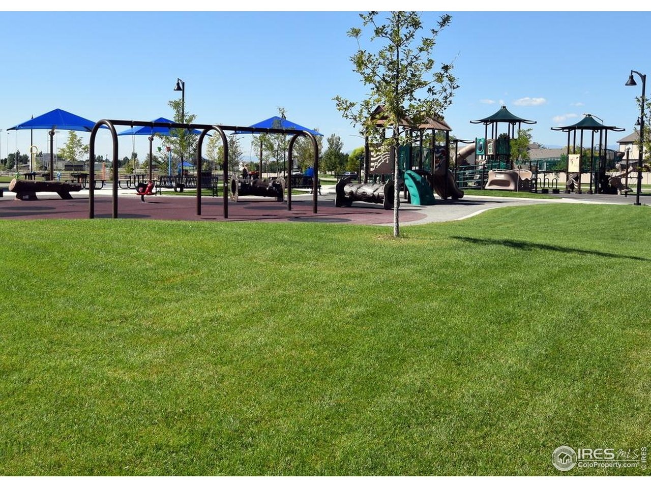 White Buffalo Dr, Wellington, CO 80549 #1