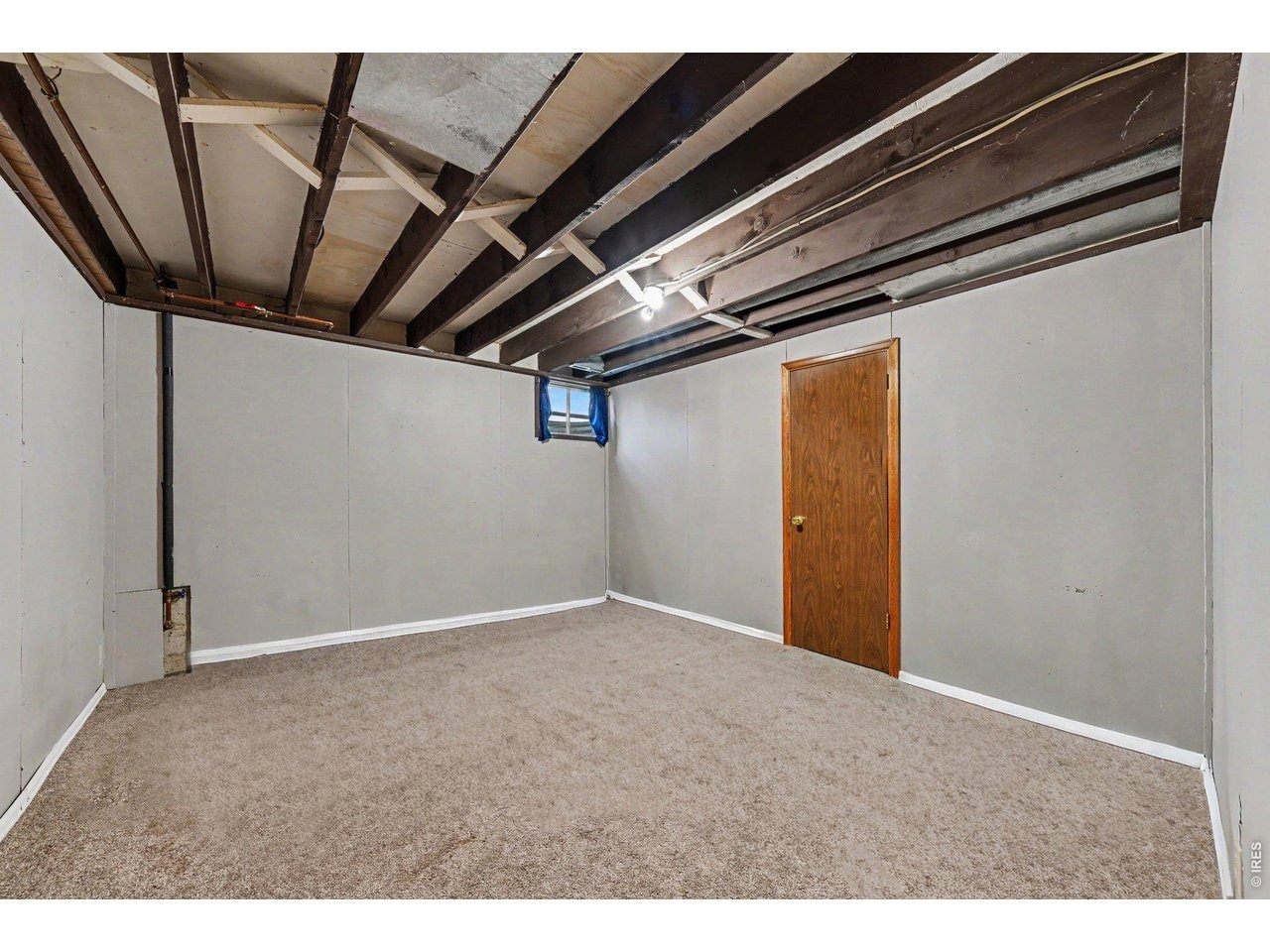 Bobtail Ct, Loveland, CO 80538 #1