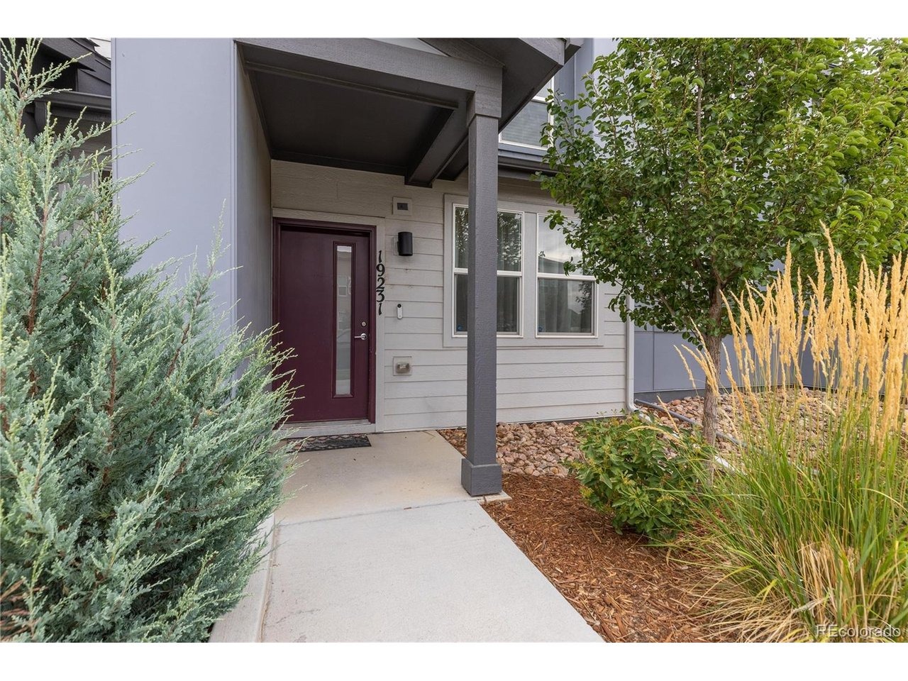 65th Ave, Denver, CO 80249 #1