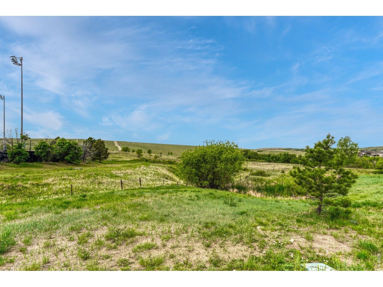 Yellowthroat St, Parker, CO 80134 #1