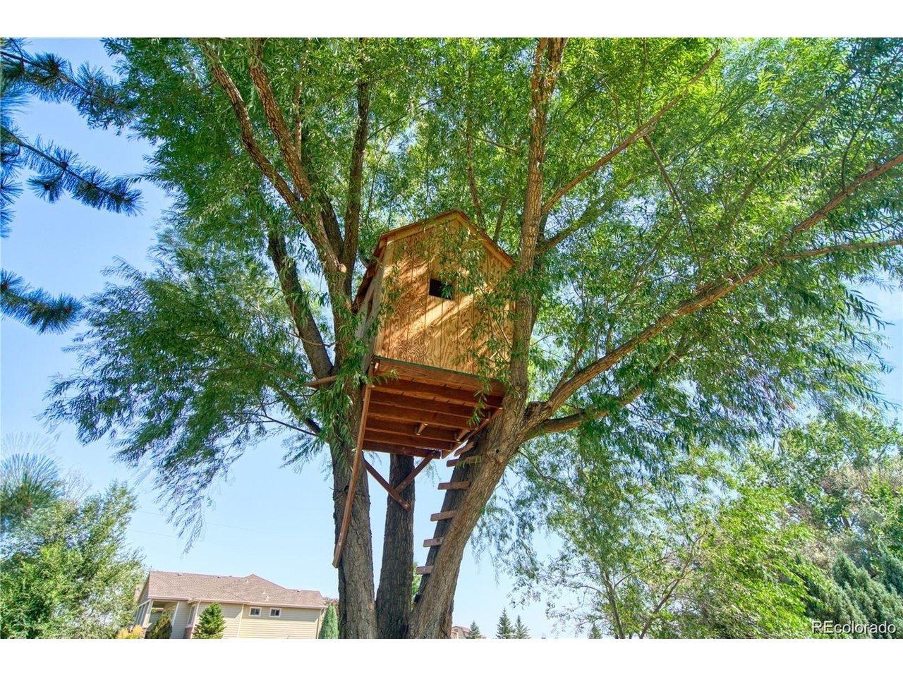 County Road 70 , Windsor, CO 80550 #1