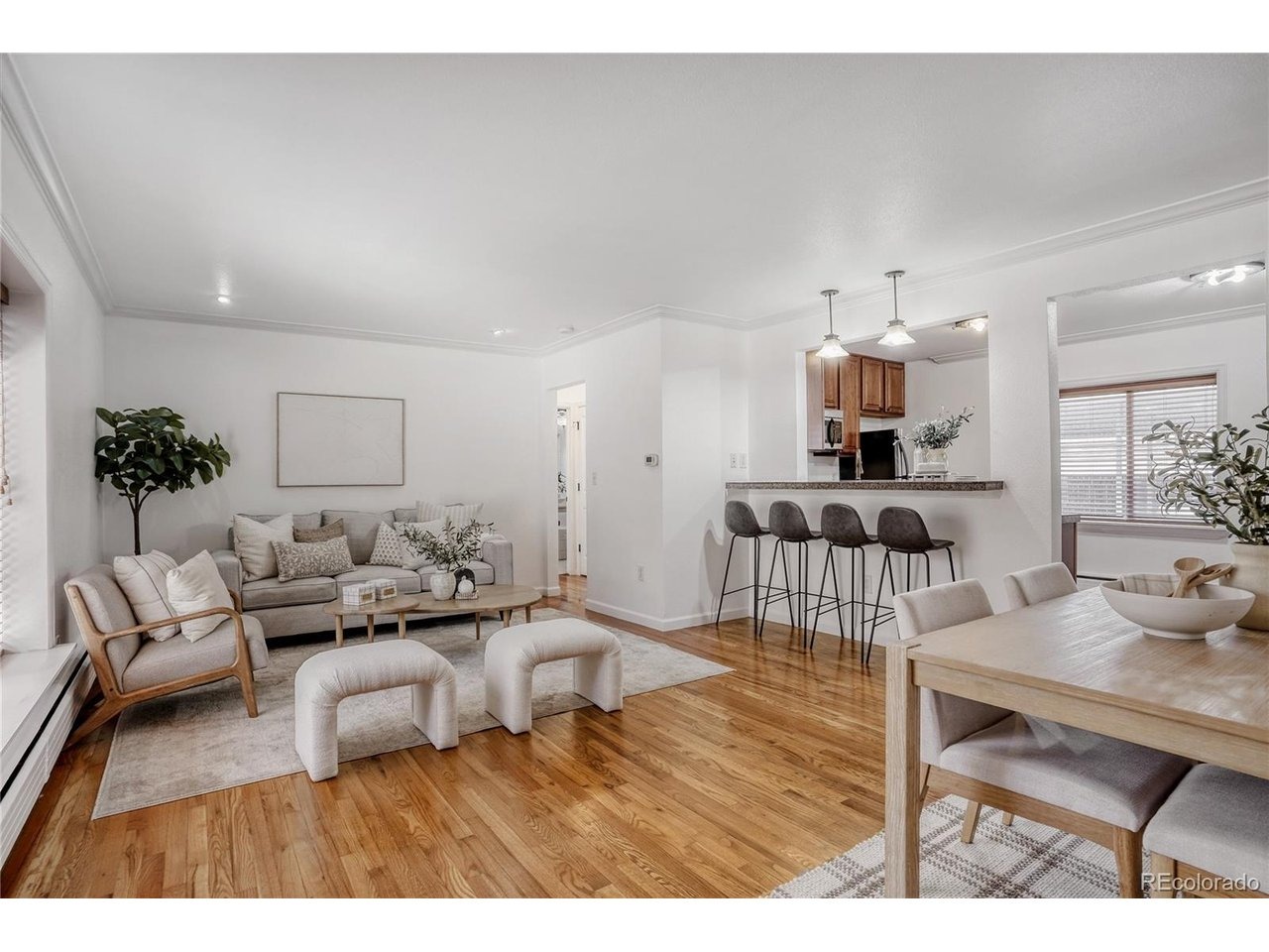 Eudora St, Denver, CO 80220 #1