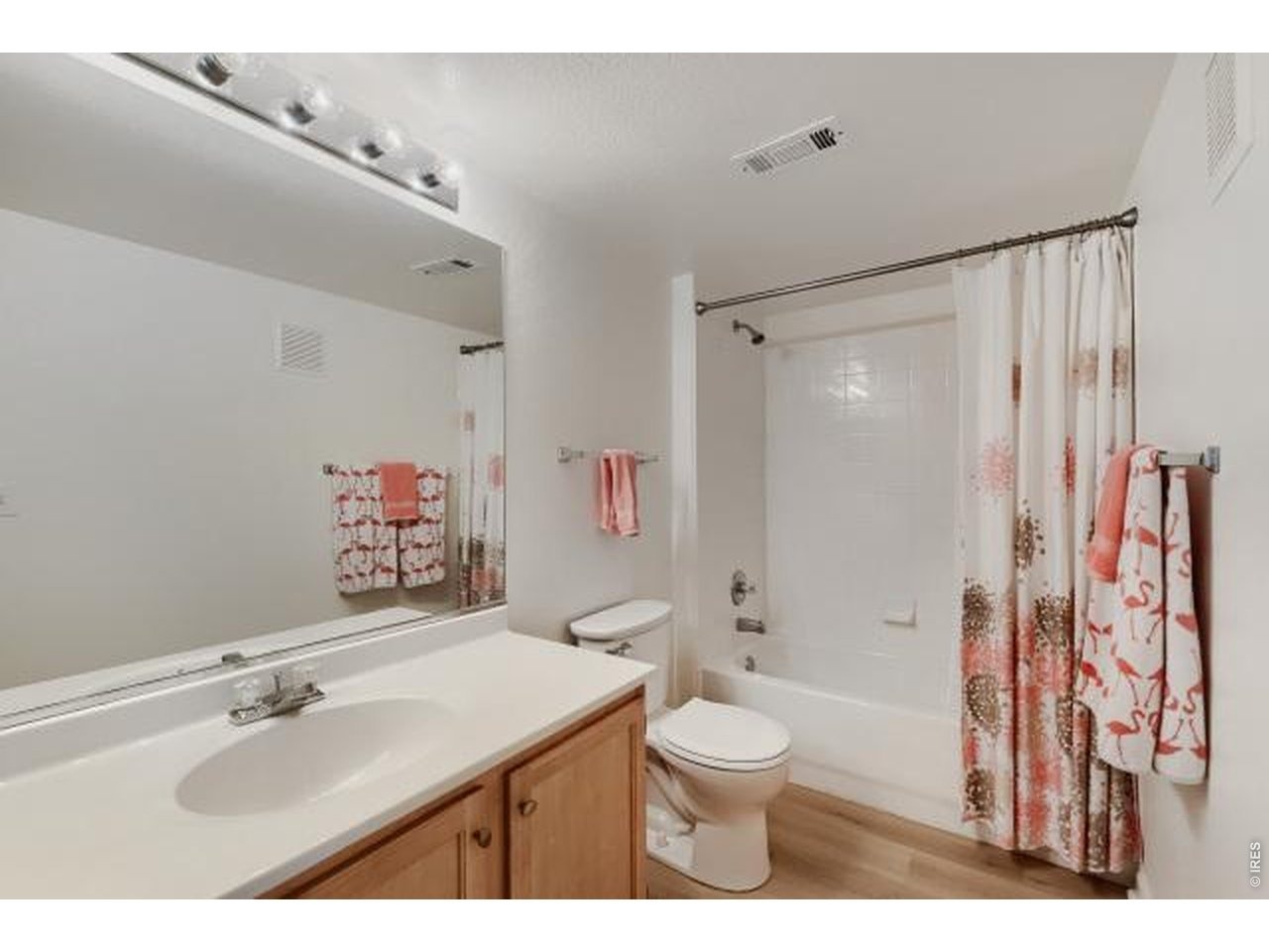 Opal St, Broomfield, CO 80020 #1
