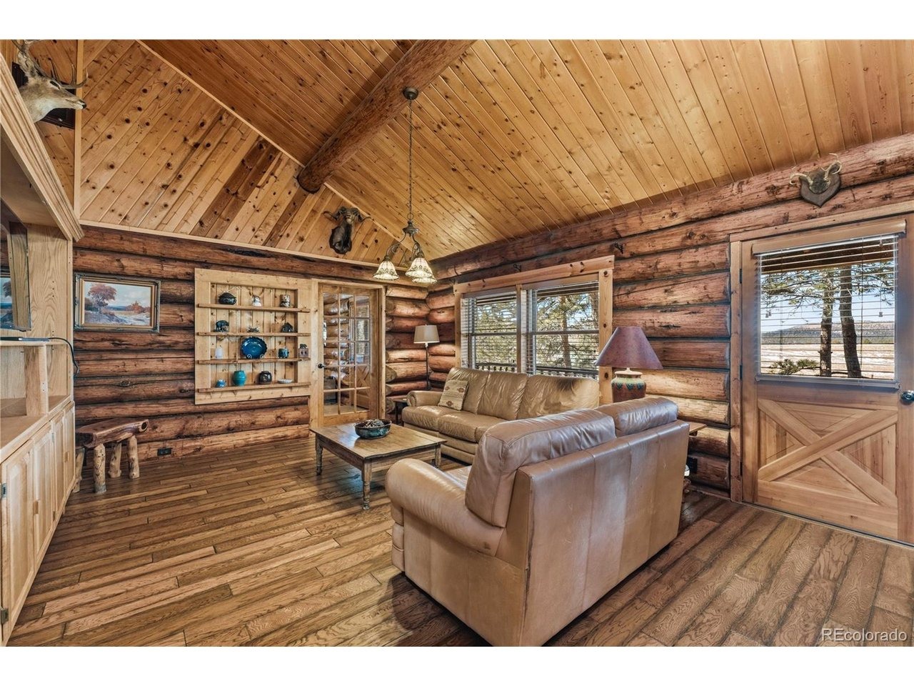 Wagon Wheel Rd, Hartsel, CO 80449 #1