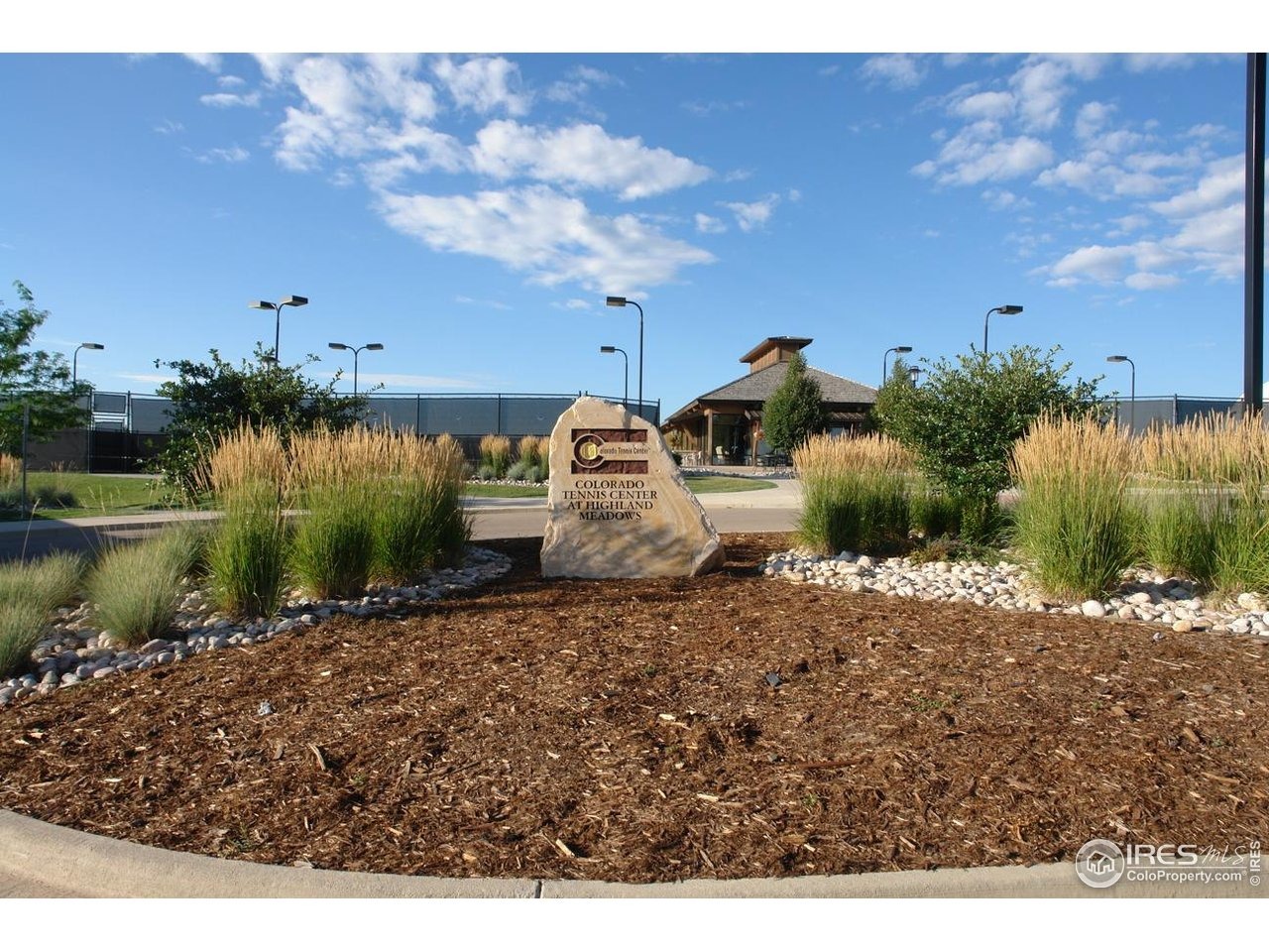 Vernazza Way, Windsor, CO 80550 #1