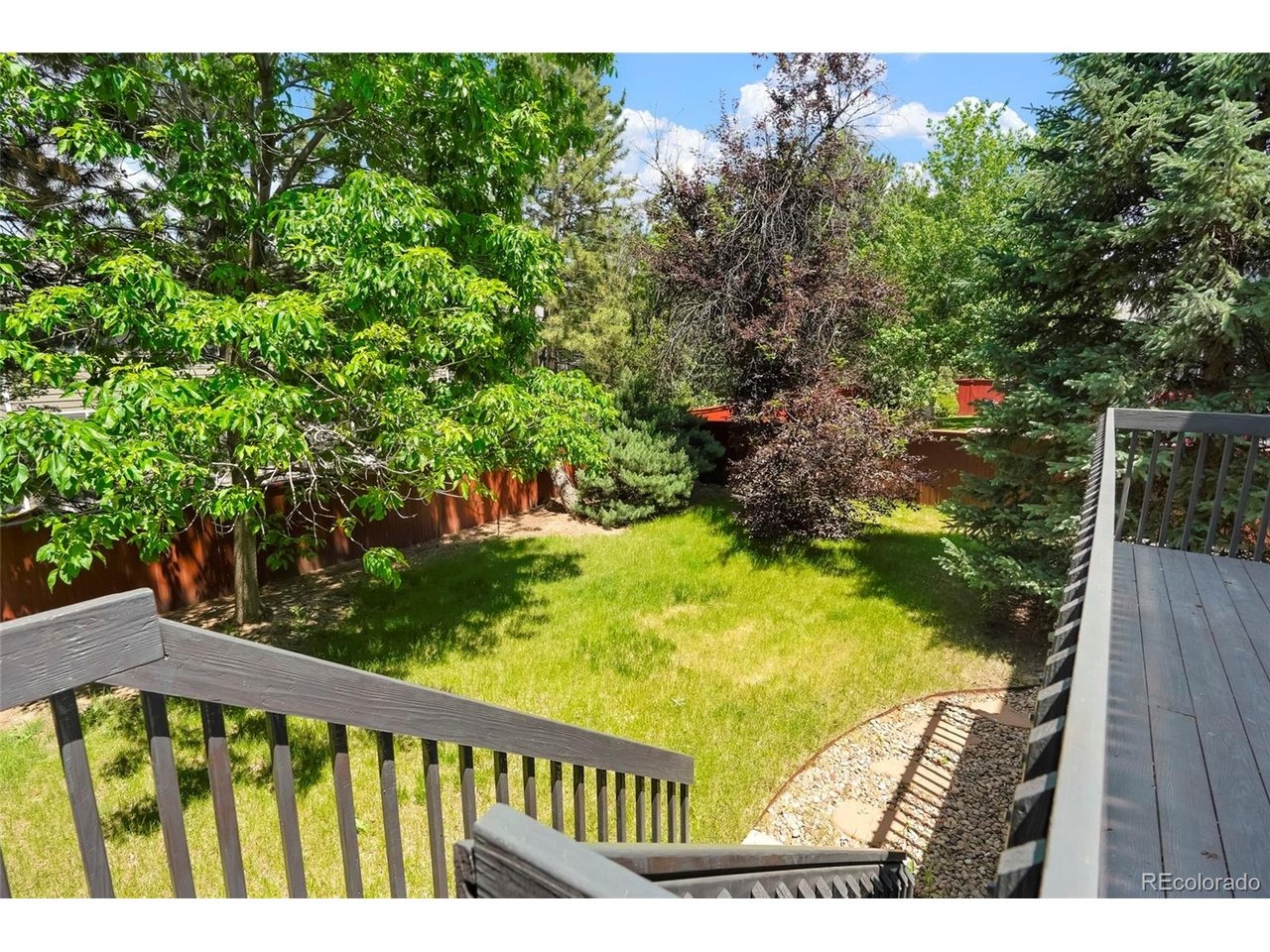 Grizzly Gulch , Highlands Ranch, CO 80129 #1